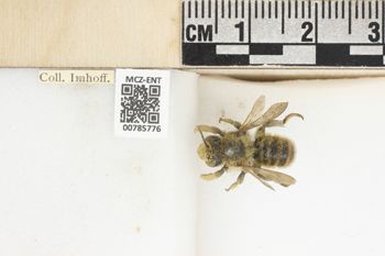 Media type: image;   Entomology 785776 Aspect: labels
